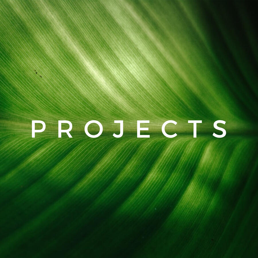 Projects Projects